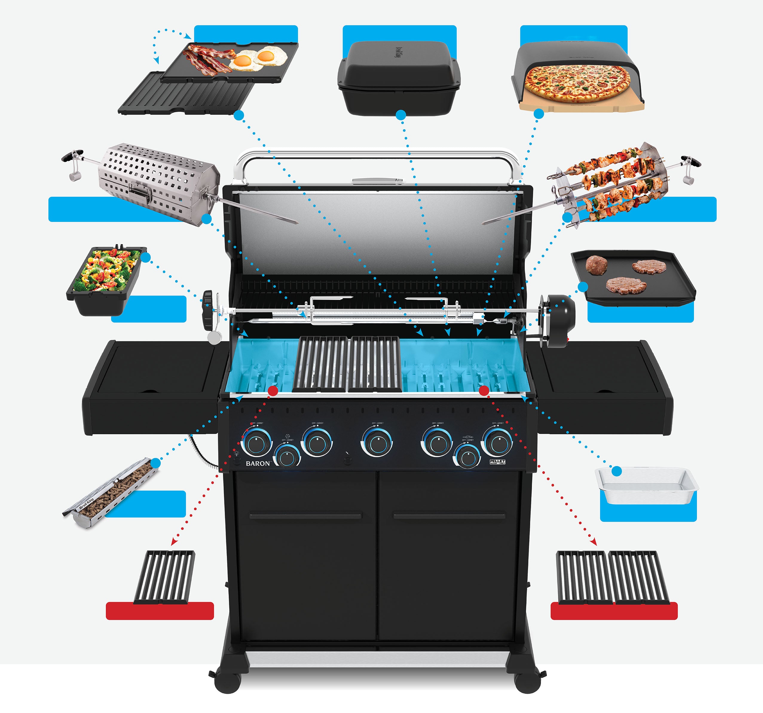 Grill Anatomy Image