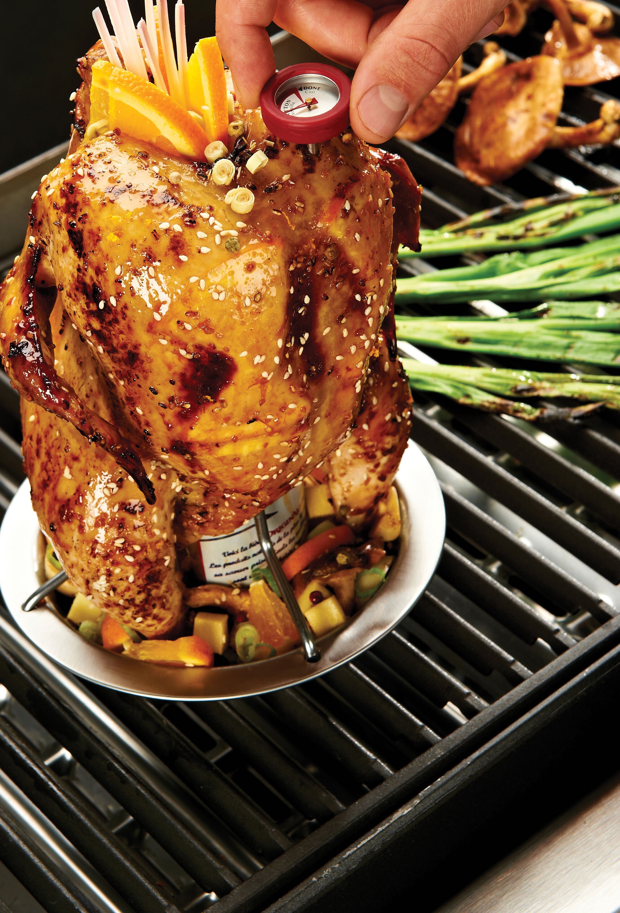 Chicken Roaster – Broil King