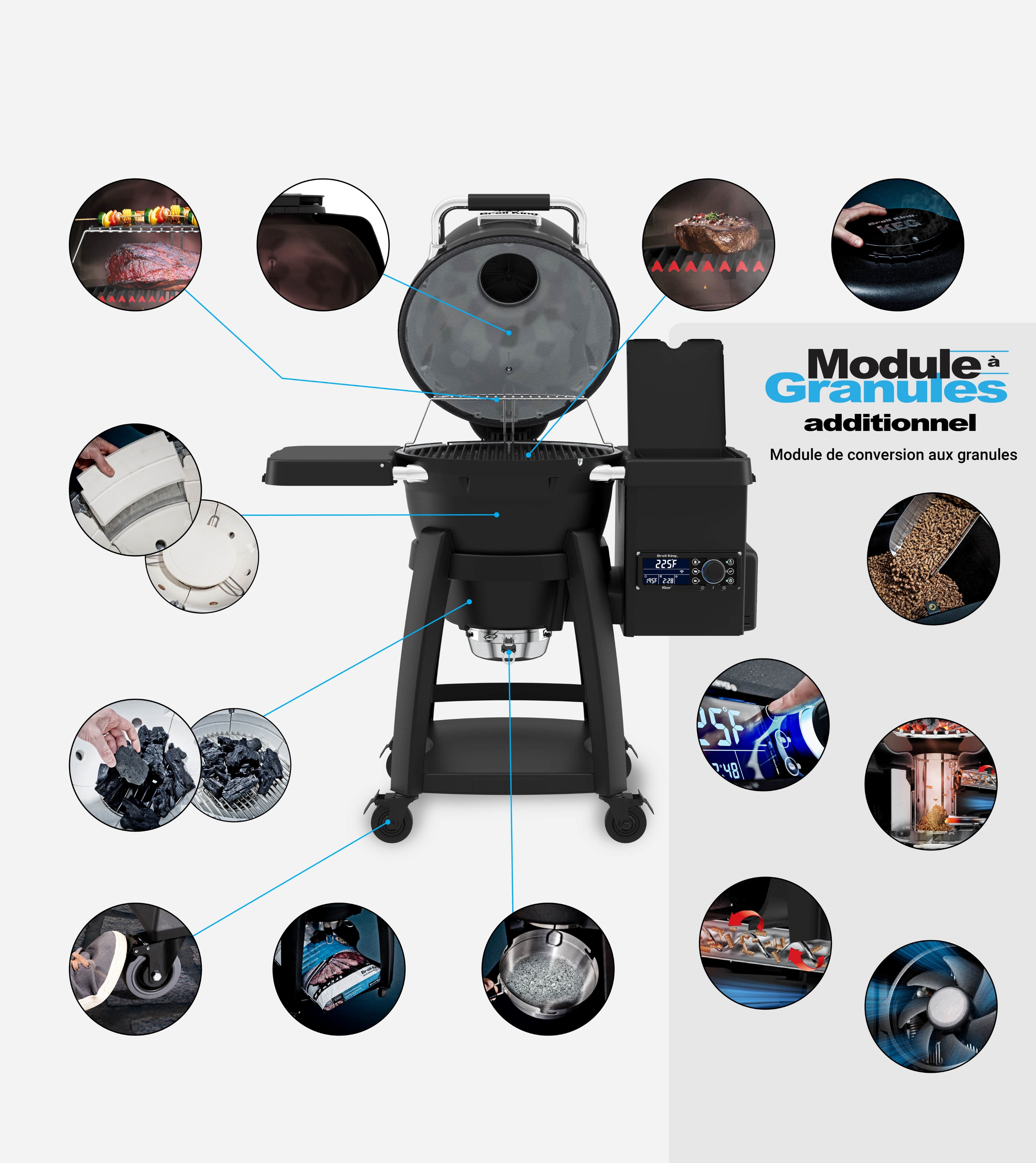 Grill Anatomy Image