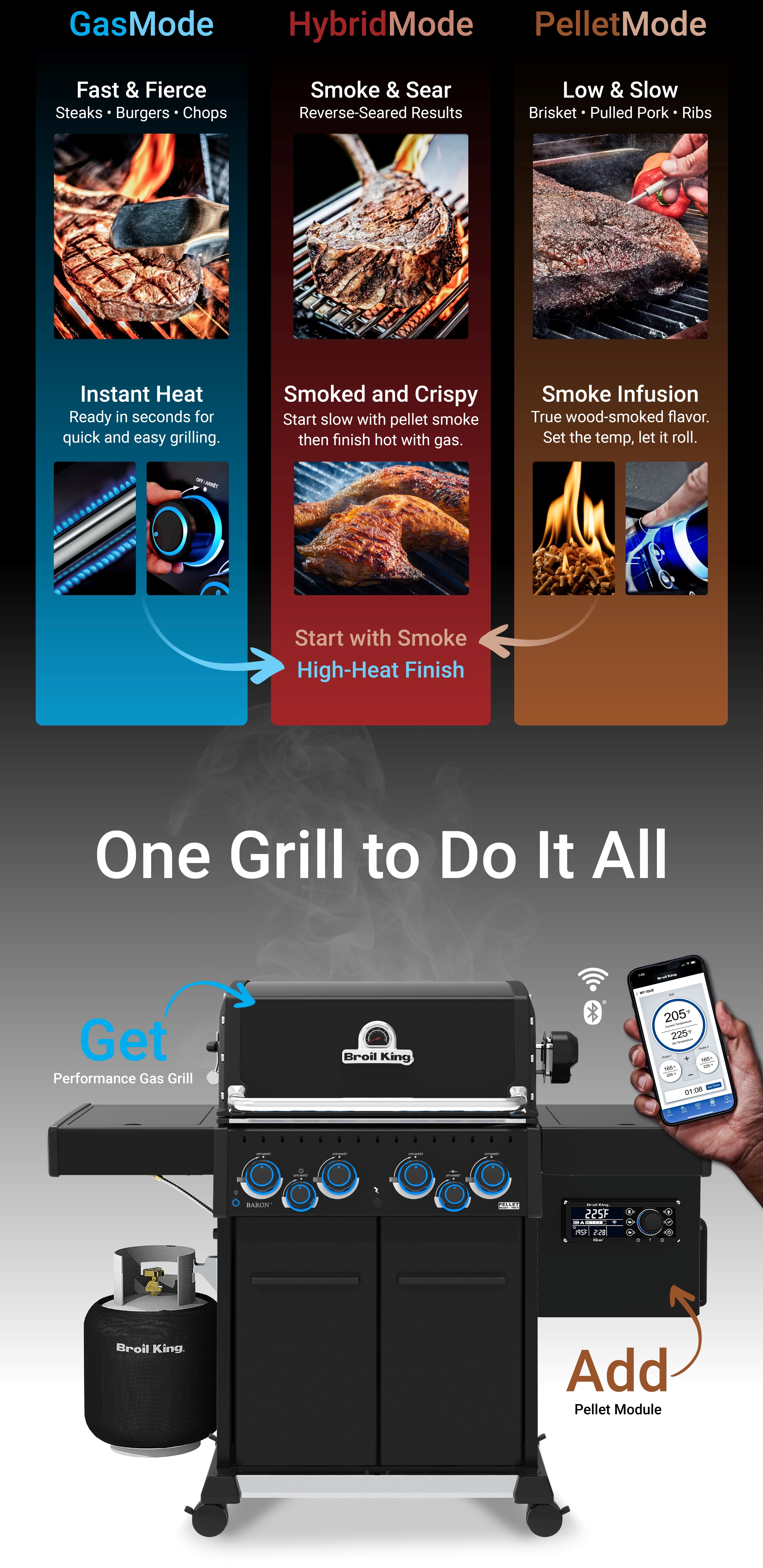 Grill Anatomy Image
